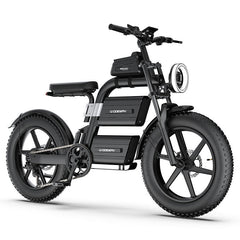 E20 Plus  Fat Tire Mountain Electric Bike