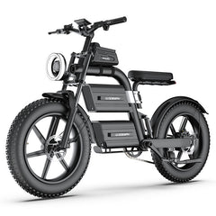 E20 Plus  Fat Tire Mountain Electric Bike