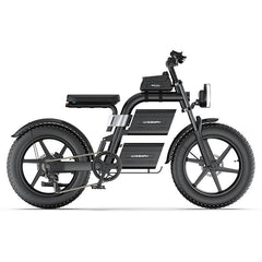 E20 Plus  Fat Tire Mountain Electric Bike