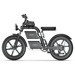 E20 Plus  Fat Tire Mountain Electric Bike