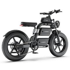 E20 Plus  Fat Tire Mountain Electric Bike