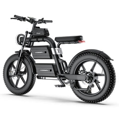 E20 Plus  Fat Tire Mountain Electric Bike