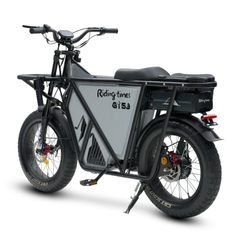 GT53 Cargo Electirc Bike