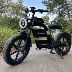 E20 Plus  Fat Tire Mountain Electric Bike