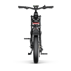 E20 Plus  Fat Tire Mountain Electric Bike