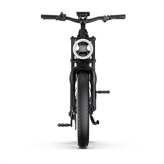 E20 Plus  Fat Tire Mountain Electric Bike