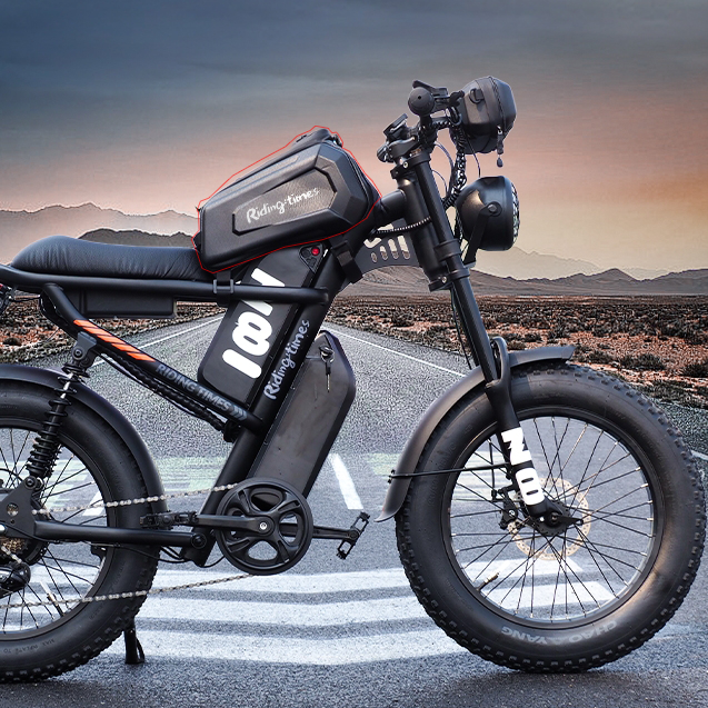Rack Bag Only for Z8 Electric Bike